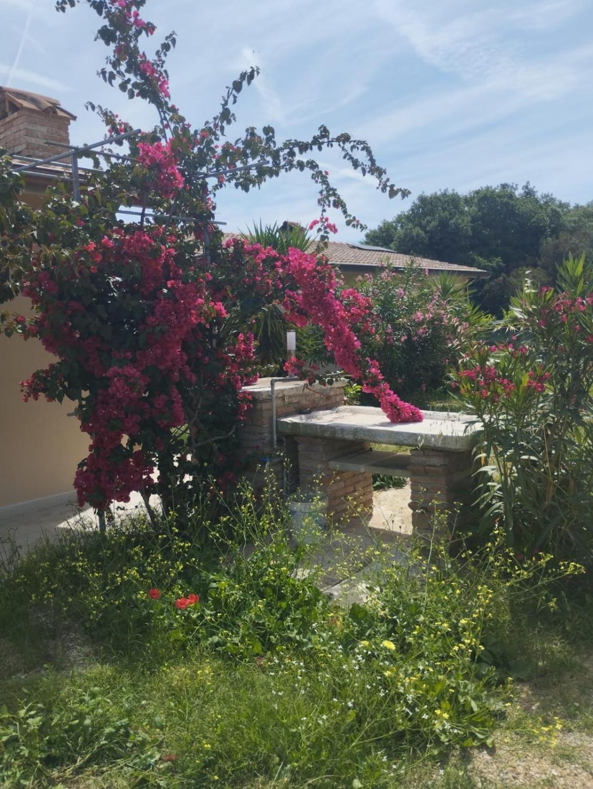Appartamenti Mirella Capoliveri  Εξωτερικό φωτογραφία